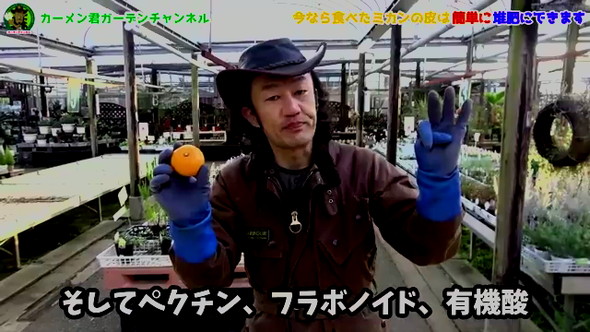 みかんの皮の活用法