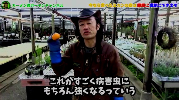 みかんの皮の活用法