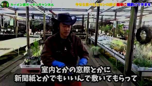 みかんの皮の活用法