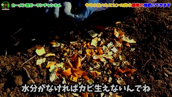 みかんの皮の活用法