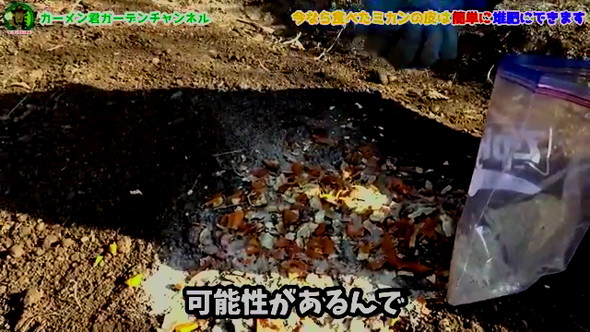 みかんの皮の活用法