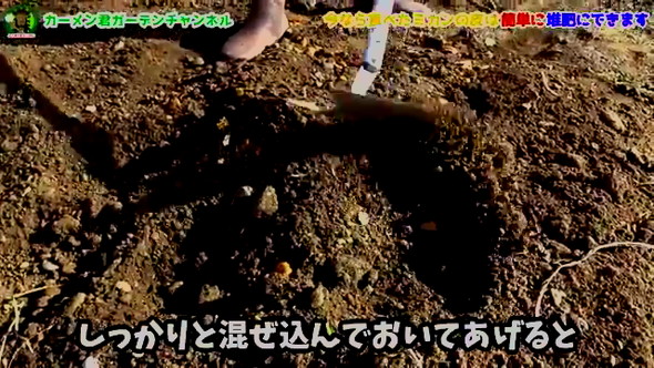 みかんの皮の活用法