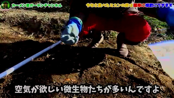 みかんの皮の活用法