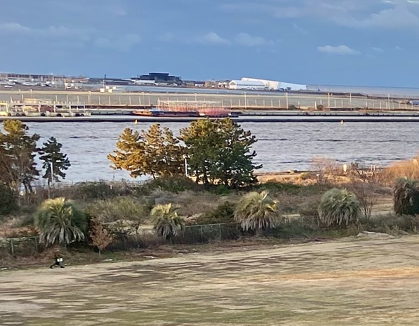 リゾートホテルから見える海