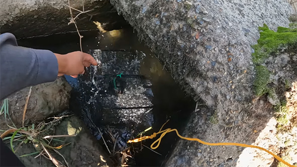 テトラの穴にカニカゴを投入