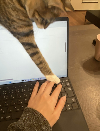 Deleteキーへ伸びる肉球