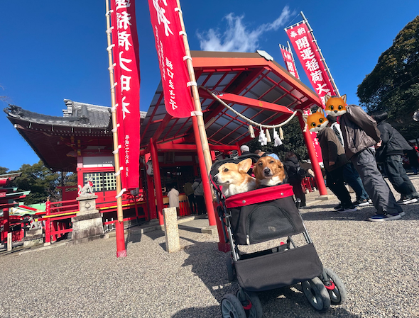 初詣に来たおこげくんとニッキくん