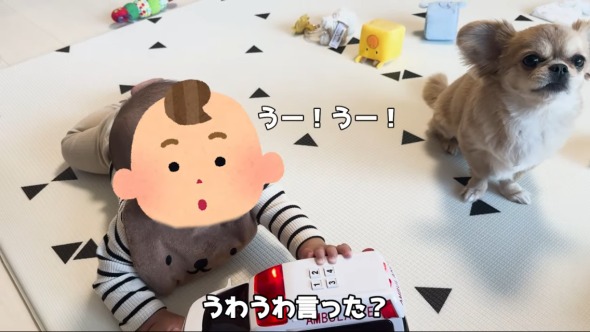 救急車に反応する赤ちゃんとワンコ