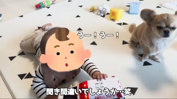救急車に反応する赤ちゃんとワンコ