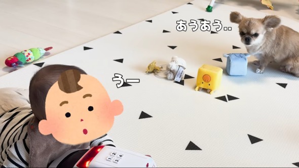 救急車に反応する赤ちゃんとワンコ