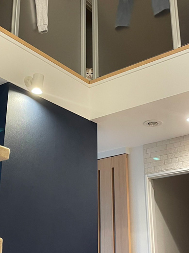 バルコニーの隙間に猫