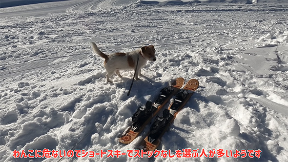 わんこに危ないので