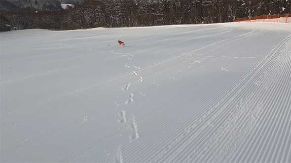 ボールを追いかける