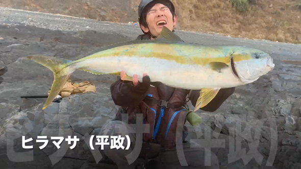 長崎県 対馬 冬 念願 大ヒラマサ ショア 磯 釣り