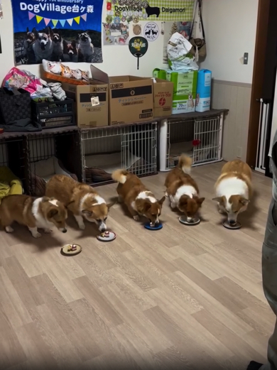 待ちに待ったおやつタイム