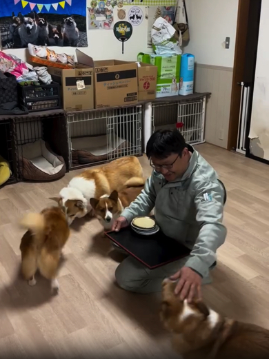 「おいしかったよ！」と伝えるコーギー