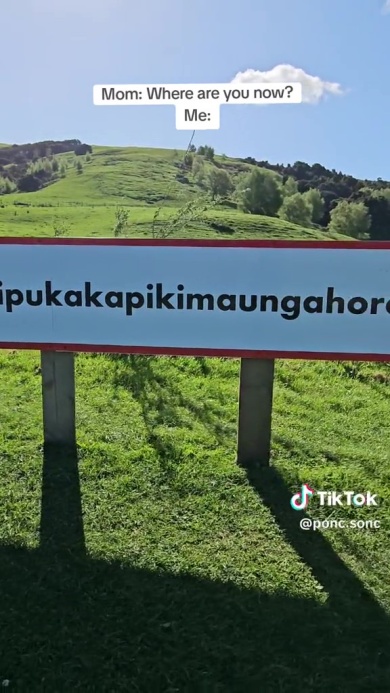 な、長い……！