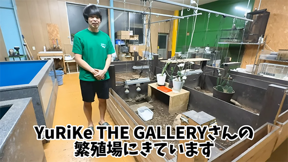 繁殖場にきています