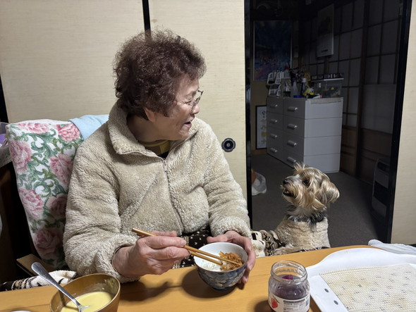 おばあちゃんとワンコ