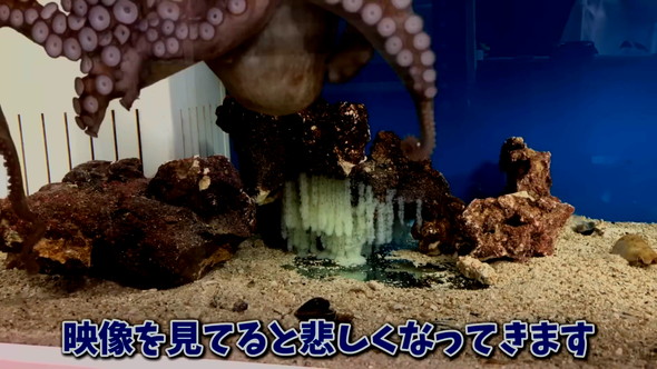 悲しくなってくる