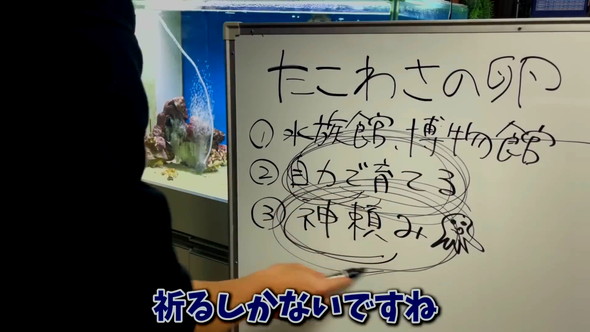 ホワイトボード