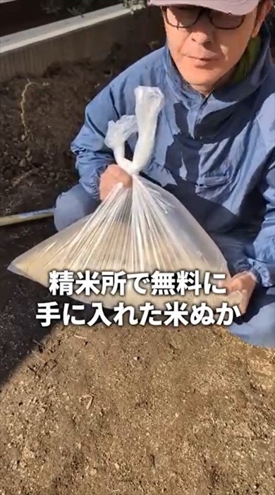 落ち葉だけで作れる腐葉土