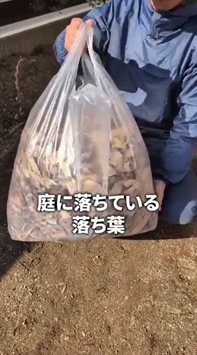落ち葉だけで作れる腐葉土