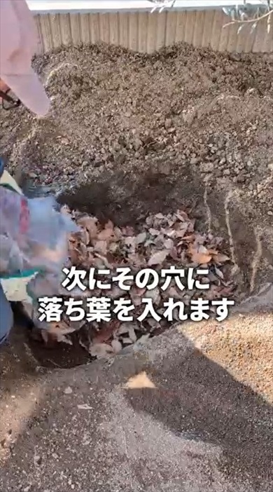 落ち葉だけで作れる腐葉土
