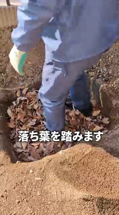 落ち葉だけで作れる腐葉土