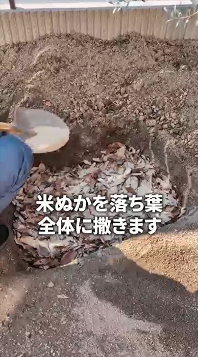 落ち葉だけで作れる腐葉土