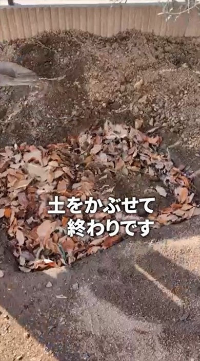 落ち葉だけで作れる腐葉土