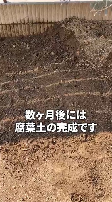 落ち葉だけで作れる腐葉土