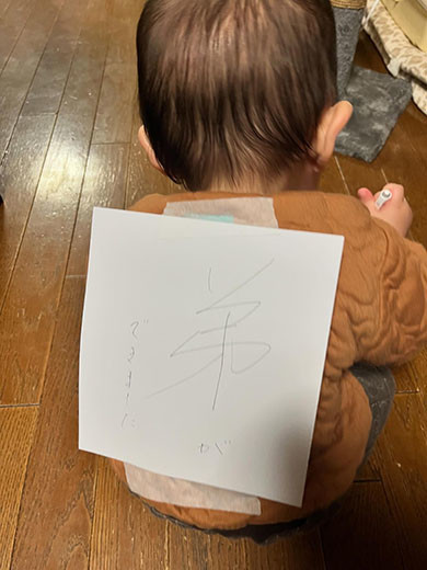 独特な性別発表