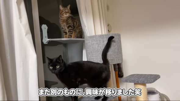 お風呂にキュートな来客が