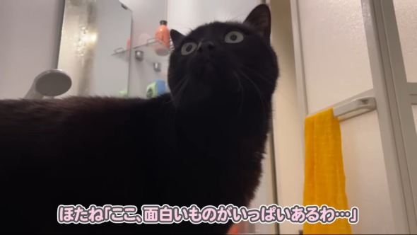 お風呂にキュートな来客が