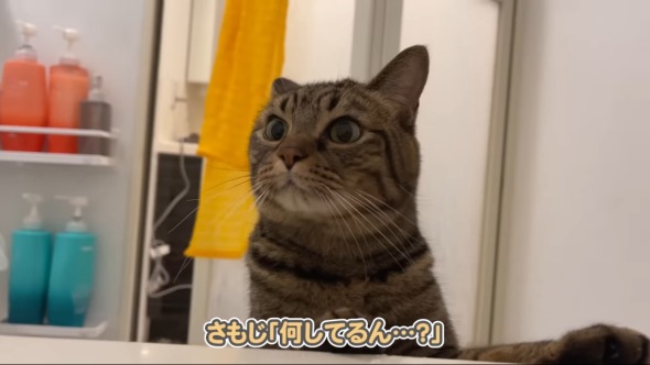 お風呂にキュートな来客が