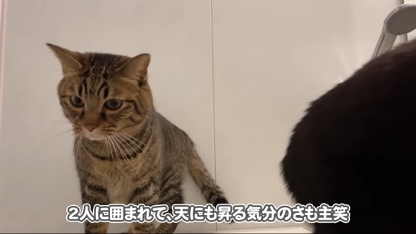 お風呂にキュートな来客が