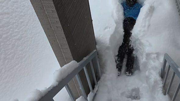 事前に安全性を確認した上で雪にダイブする夫