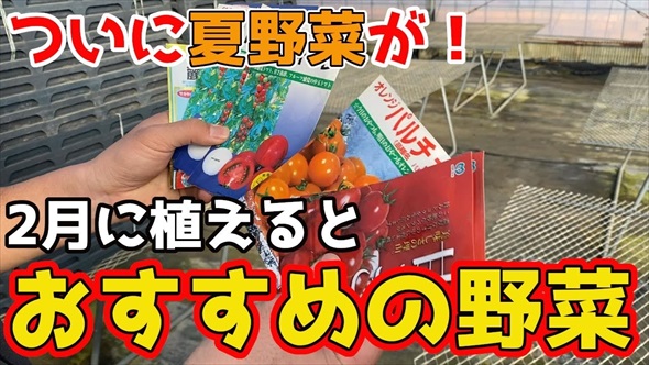 2月に植えると最高な野菜