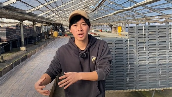 2月に植えると最高な野菜