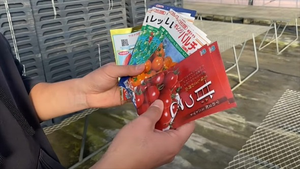 2月に植えると最高な野菜