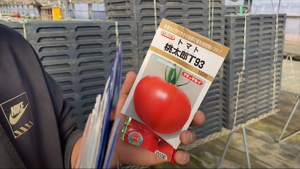 2月に植えると最高な野菜