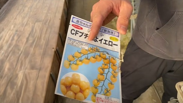 2月に植えると最高な野菜