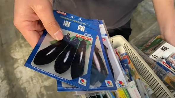 2月に植えると最高な野菜