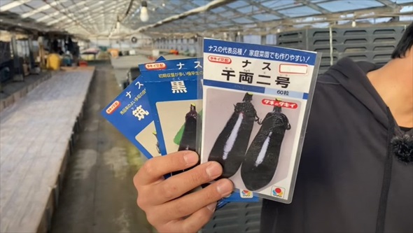 2月に植えると最高な野菜