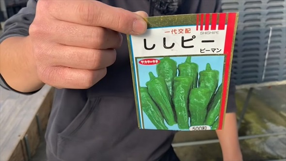 2月に植えると最高な野菜