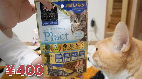 キャットフード