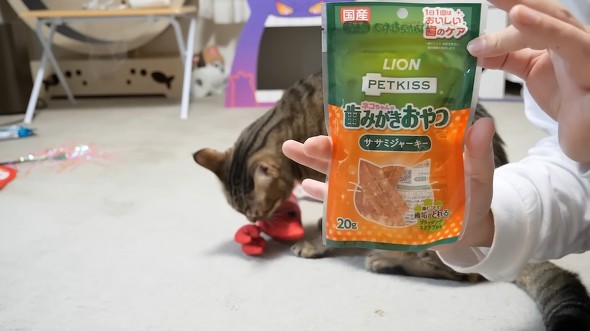 キャットフード