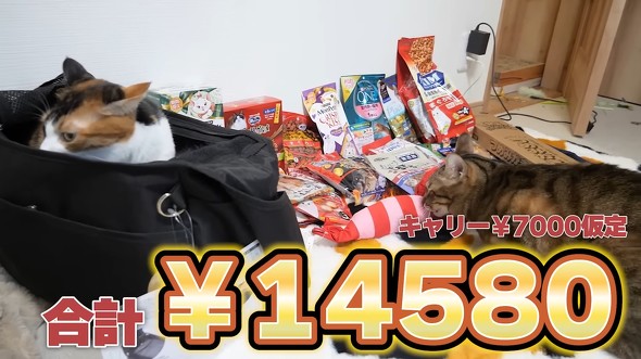 福袋の中身を並べた画像