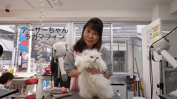 アーサーちゃん